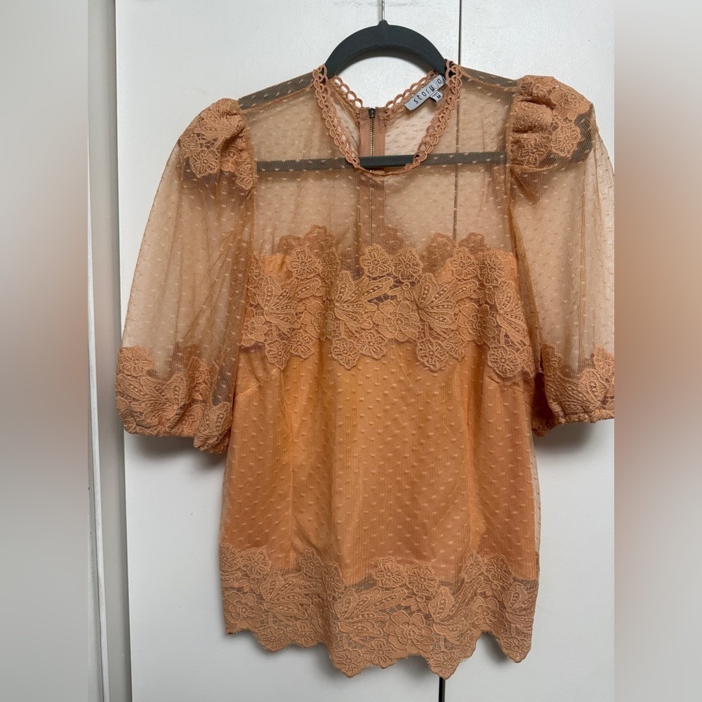 Story On Delicate Lace & Dot Mesh Puff-Sleeve Blouse in Rust SizeM